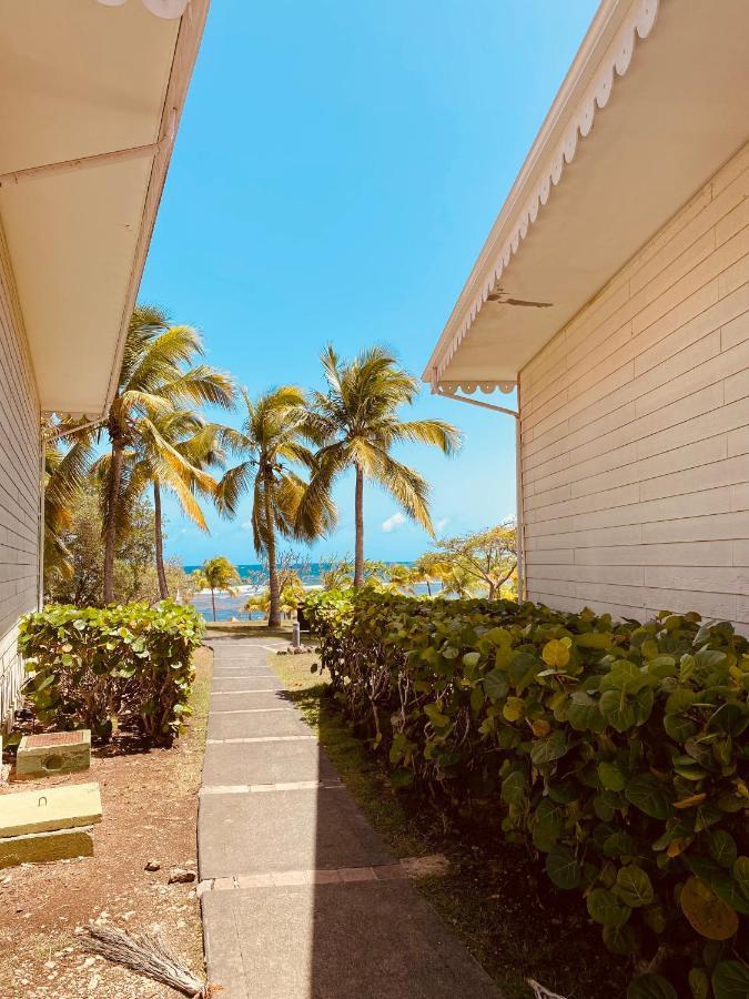 Tucum Home - Appart Au Village Vacances Sainte Anne Exteriör bild